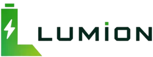 Salfyn lumion partner